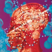 Diseases of the Brain: How is a Brain Aneurysm Repaired?